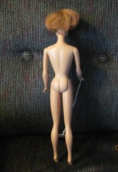 midge in box_09